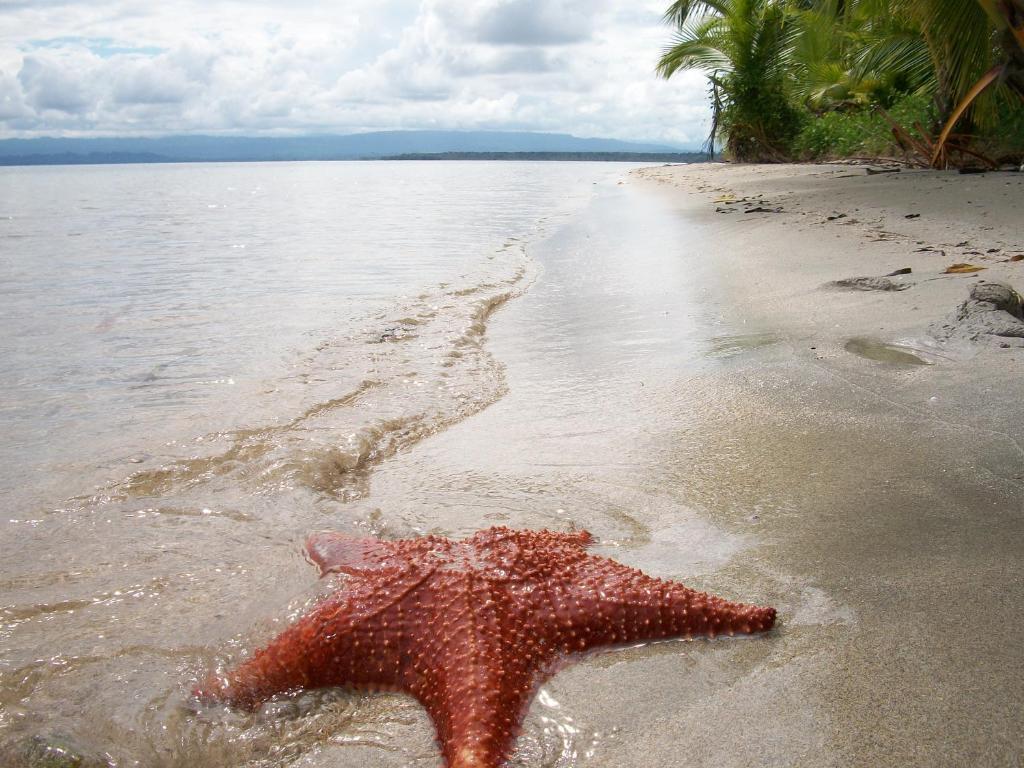 Hotel Tierra Verde Bocas del Toro Luaran gambar