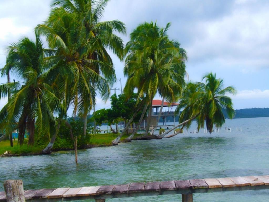 Hotel Tierra Verde Bocas del Toro Luaran gambar